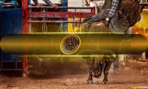 Read more about the article Bitcoin Likely to Enter New Bull Market If This Happens: CryptoQuant