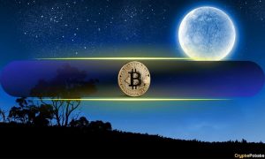 Read more about the article Experts and Analysts React to Bitcoin’s Surge Past $100K: What’s Next?