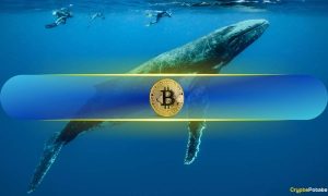 Read more about the article Bitcoin Whales Buy the Dip as BTC Slips Below $70k