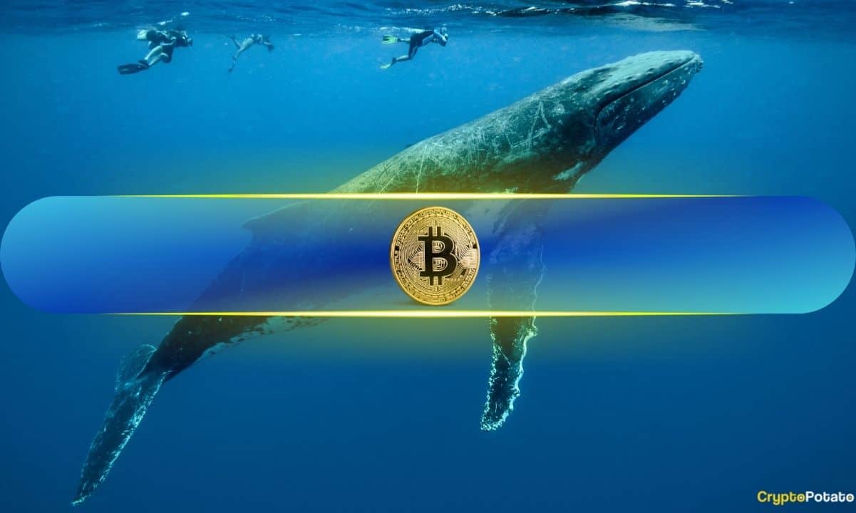 You are currently viewing Bitcoin Whales Buy the Dip as BTC Slips Below $70k