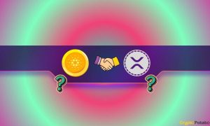 Read more about the article Ripple, Cardano Mega Partnership in the Making? Community Speculates