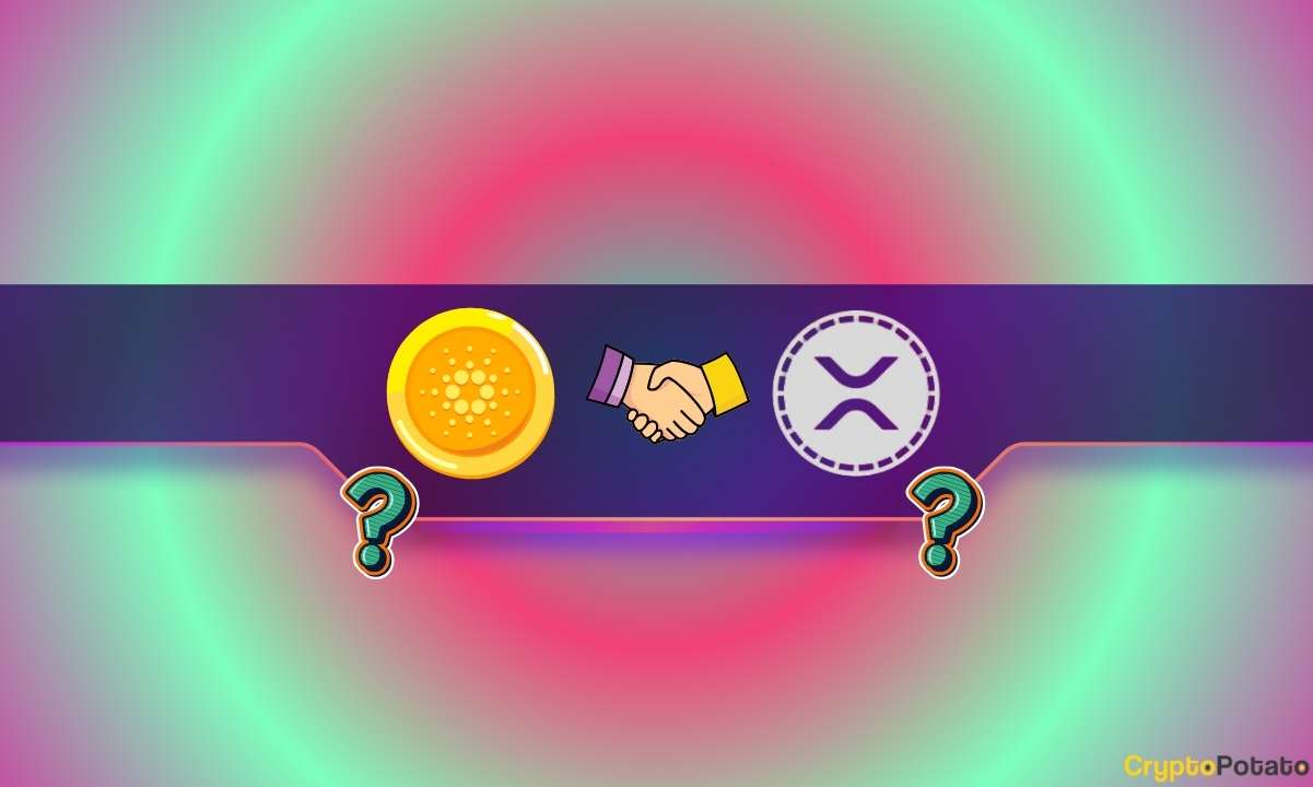 You are currently viewing Ripple, Cardano Mega Partnership in the Making? Community Speculates