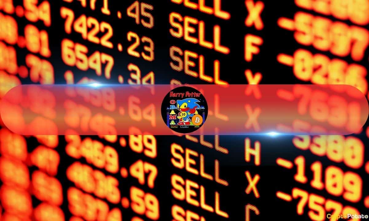 You are currently viewing Major Sell-Off by Largest HarryPotterObamaSonic10Inu (BITCOIN) Holder Sparks 60% Price Drop