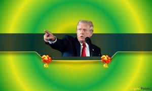 Read more about the article Meme Coin Madness as Donald Trump Wins Key States in the US Presidential Elections