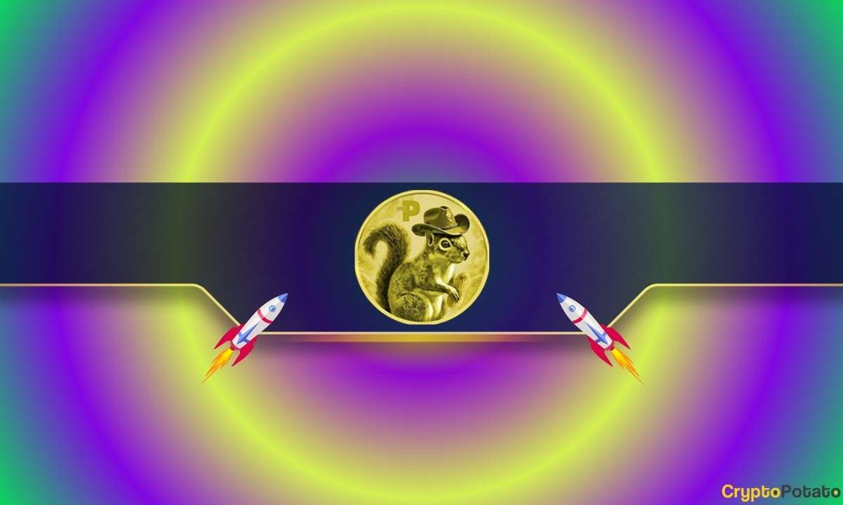 You are currently viewing 3 Reasons Why the PNUT Price is Up 1,500% Weekly