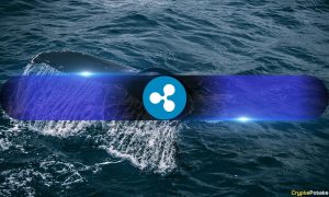 Read more about the article Ripple Whale Deposits to Binance Reach 6-Month High, Over 2.66 Billion XRP Transferred