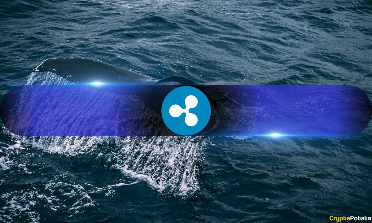 You are currently viewing What’s Going On? Ripple Whales Holding Over 1M XRP at 6-Year High