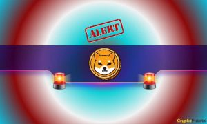 Read more about the article Major Shiba Inu (SHIB) Warning: Team Sounds the Alarm