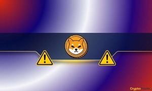 Read more about the article Watch Out: Shiba Inu (SHIB) Team Warns the Community About a Dangerous Scam