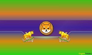 Read more about the article Important for Shiba Inu (SHIB): Burn Rate Skyrockets by Almost 2,000% Amid Recent Price Increase