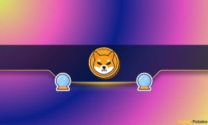 Read more about the article Shiba Inu (SHIB) Could Pump by Over 50% if It Surpasses This Major Resistance Level (Analyst)