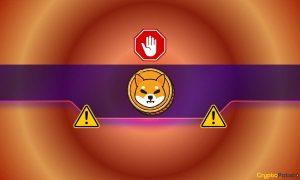 Read more about the article Major Warning by the Shiba Inu (SHIB) Team About Another Dangerous Scam: Details