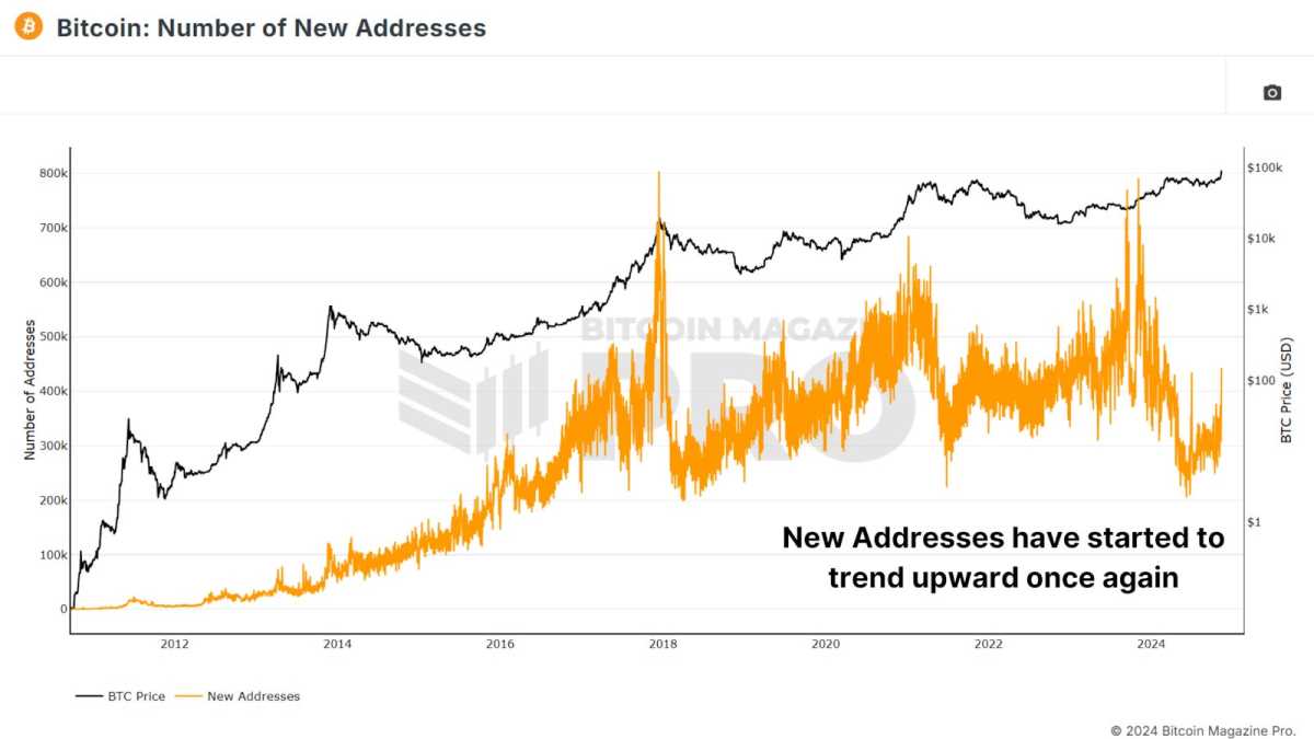 Read more about the article Are Retail Investors Behind The Bitcoin Price Surge This Bull Run?