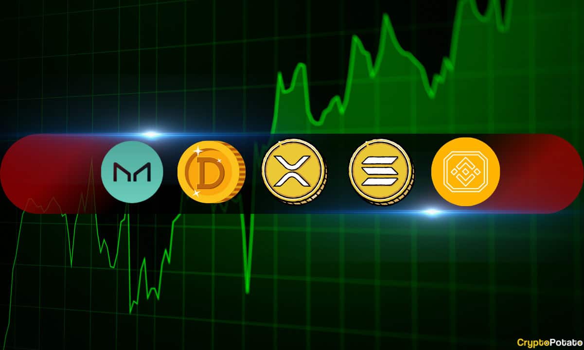 You are currently viewing Crypto Price Analysis November-01: XRP, BNB, SOL, DOGE, and MKR