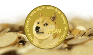 Read more about the article Fondazione Doge: towards a decentralized future with Dogebox