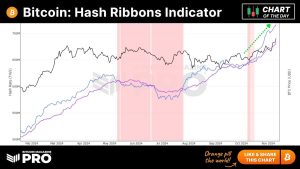 Read more about the article Bitcoin Hash Ribbons Indicator: Miners Show Unwavering Optimism as Hash Rate Hits New Highs