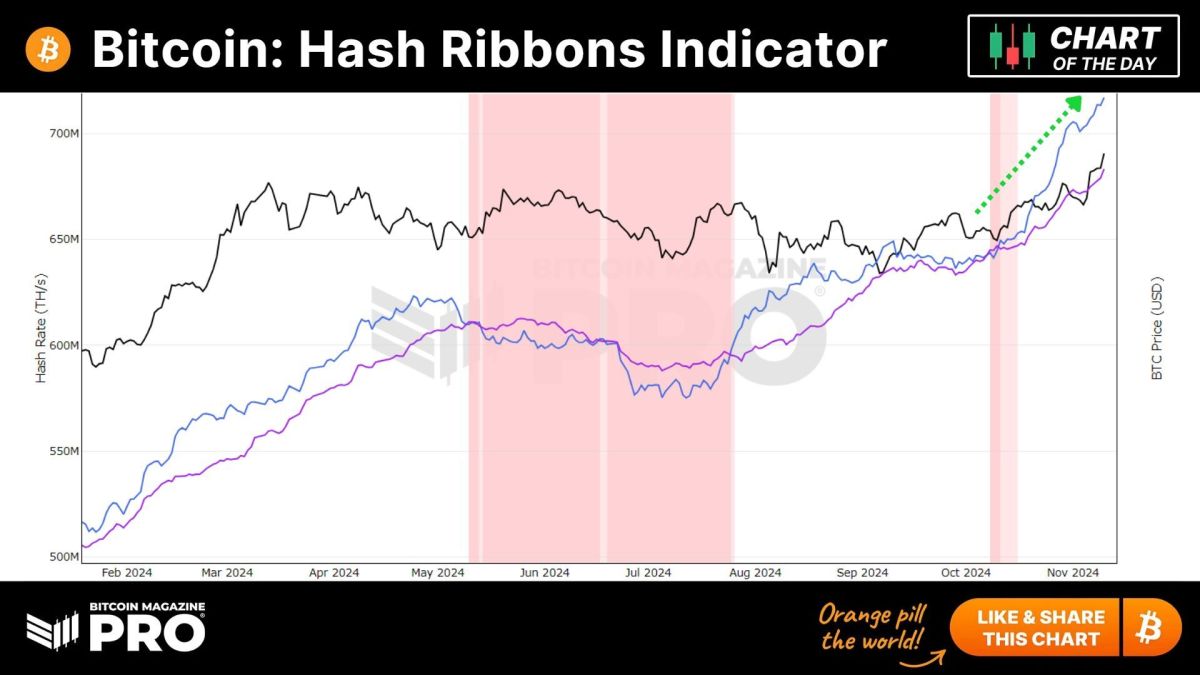 You are currently viewing Bitcoin Hash Ribbons Indicator: Miners Show Unwavering Optimism as Hash Rate Hits New Highs