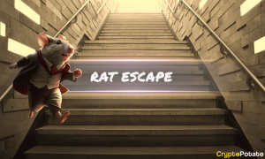 Read more about the article Viral Meme Coin Rat Escape (RAT) Launches with 1,000 Holders in Days