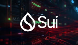 Read more about the article Sui network outage triggers 7% price drop despite broader bull market