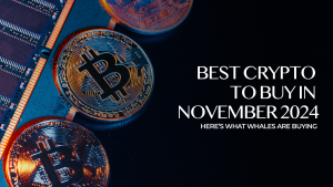 Read more about the article Best Crypto to Buy Now in November 2024 – Top Crypto to Invest In