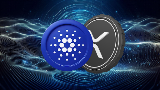 You are currently viewing Cardano (ADA) and Ripple (XRP) Expect More Gains, Many Join RCO Finance for a 9,009% Rally