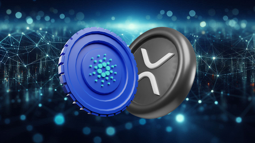 You are currently viewing Cardano and the XRP Price Gain Momentum While RCO Finance Prepares for a 35,402% Surge by Q1 2025