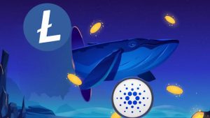 Read more about the article What Do Whales Know? Discover Why Cardano and Litecoin Are Their Top Picks Right Now