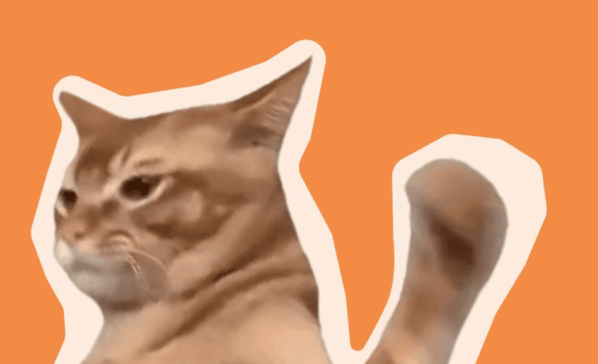 You are currently viewing New Meme Coin Catslap ($SLAP) Launches on Uniswap DEX