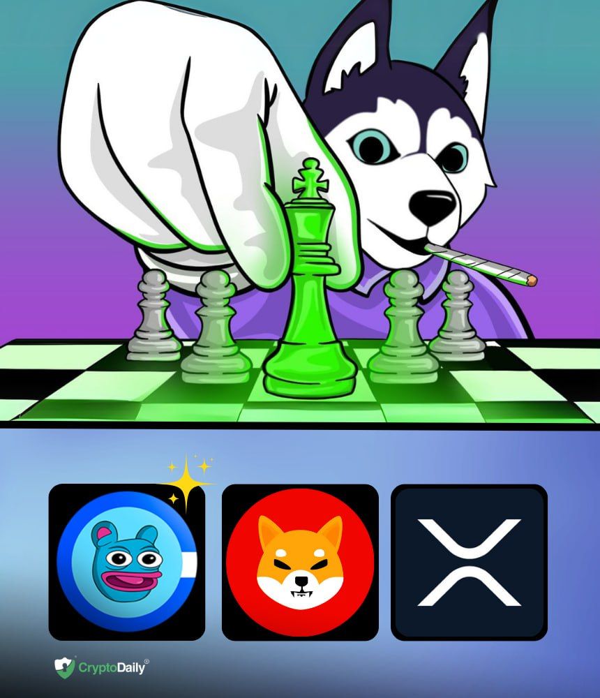 You are currently viewing Memecoins Shiba Inu (SHIB) and Brett (BRETT) Surge Over 20% in Daily Charts. Who is Next?