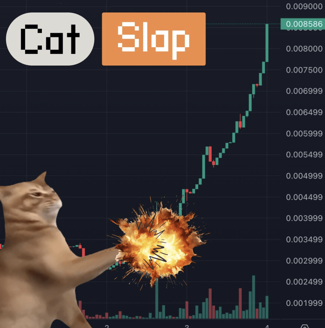 You are currently viewing Crypto Prices Rise Again And Experts Watch Catslap, CAT and Popcat