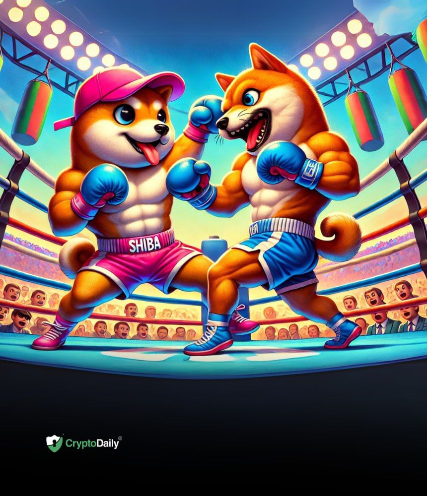 You are currently viewing Memecoin Mania: $WIF vs $BONK – Most Mature Yet Explosive Meme Tokens On $SOL