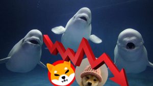 Read more about the article SHIB and WIF See Whale Sell-Offs as This High-Potential Crypto Gains Momentum for 99,000% Gains!