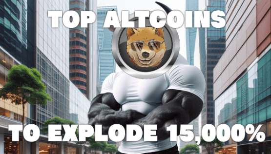 You are currently viewing Market Pro Who Netted $50M in the Last Bull Market Names His Top 5 Tokens for the Winter Rally!