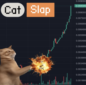 Read more about the article First Cat Coin Listing On Binance Spot, Is Catslap Next?