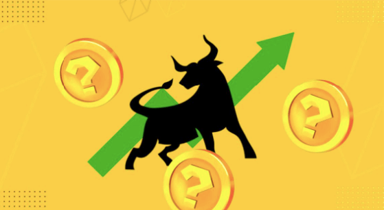 Read more about the article 2025 Crypto Boom Ahead: Here’s How to Prepare for the Bull Run of the Decade!