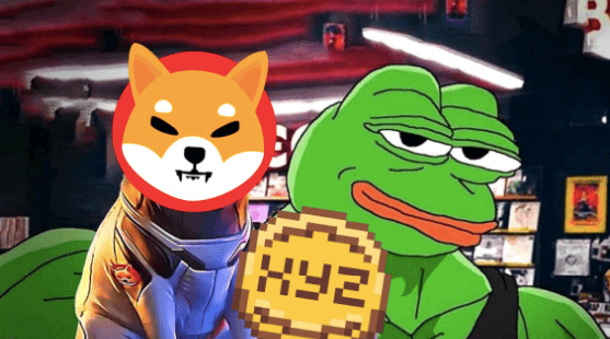 You are currently viewing Massive Bull Run Ahead: New Polygon Meme Coin to Outshine Pepe and Shiba Inu