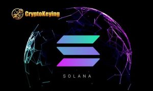 Read more about the article Start a new chapter of cloud mining with SOLANA and DOGE – easily earn $1000 per day