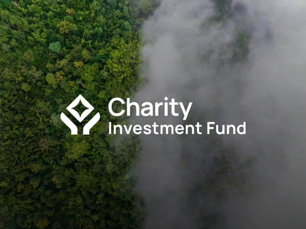 You are currently viewing Charity Investment Fund (CHIF) Fair Launch is Coming