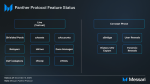 Read more about the article Understanding Panther Protocol: A Comprehensive Overview