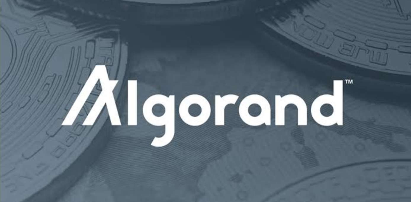 Read more about the article ALGO Activity Surges: Can Traders Capitalize on Algorand’s Rally?