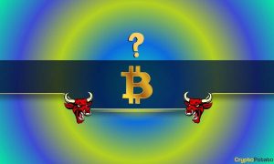 Read more about the article The Bitcoin (BTC) Bull Run Could End Sooner Than You Think: Analyst