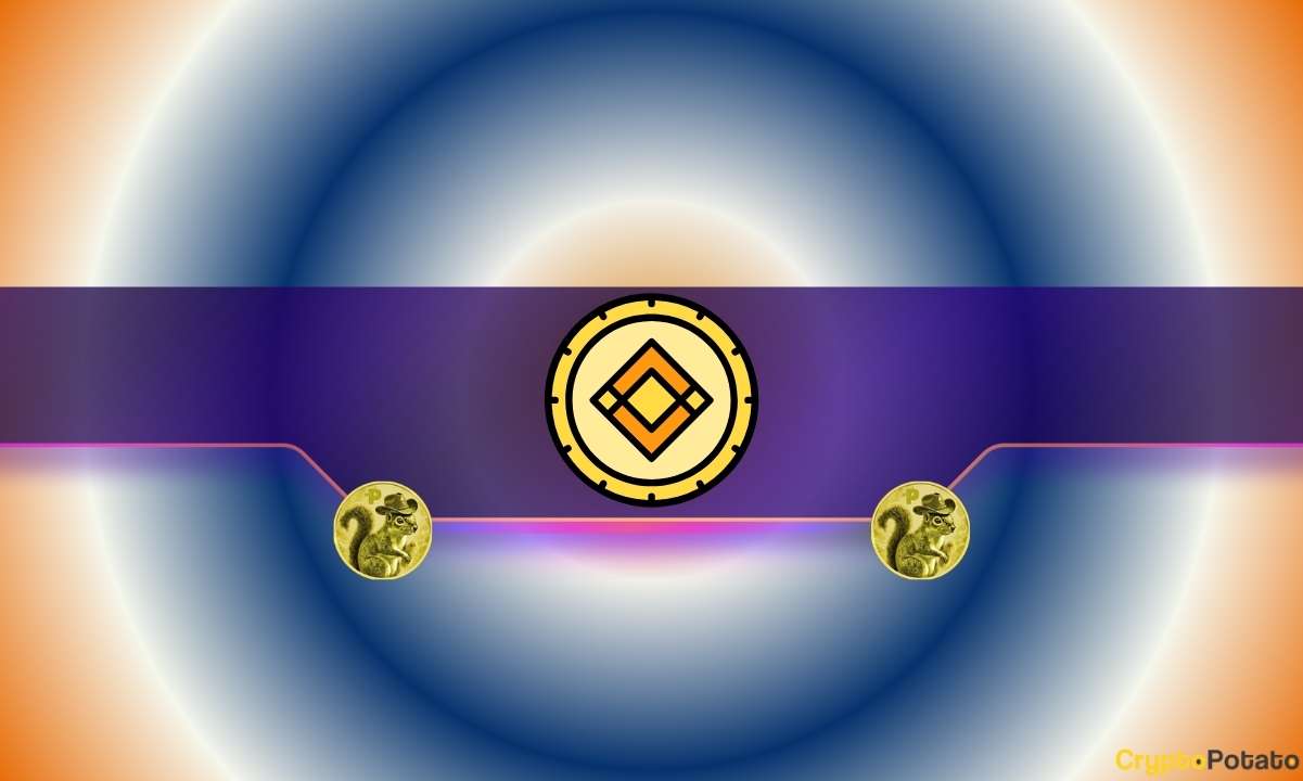 You are currently viewing Important Binance Trading Update Concerning Peanut the Squirrel (PNUT) and Other Meme Coins: Details