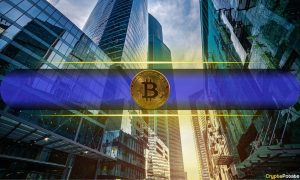 Read more about the article Institutional Bitcoin Holdings Surge to 31%: ETFs, Governments, MicroStrategy Lead the Charge