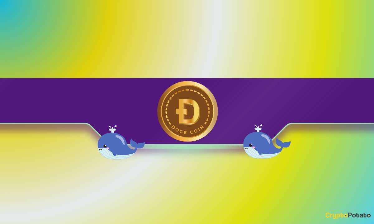 You are currently viewing Dogecoin Price Stalls But Could Accumulating Whales Lead to Another DOGE Bull Rally?