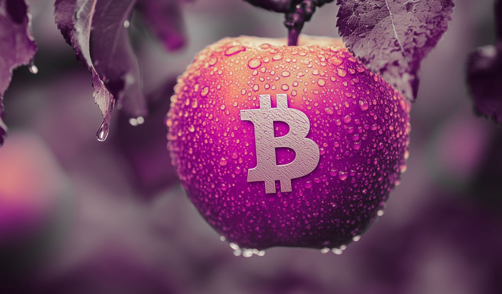 Read more about the article Bitcoin Setting Up for Potential Pre-Christmas Explosion, According to Trader That Called 2021 Market Collapse