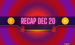 Read more about the article Bitcoin (BTC) Price Collapse, Meme Coin Bloodbath, and More: Bits Recap Dec 20