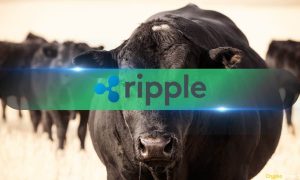 Read more about the article Massive Rally Fuels XRP Network: Over 22,000 New Wallets Created in a Day