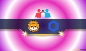 Read more about the article Shiba Inu to Enhance Its Ecosystem by Partnering With Chainlink: Details