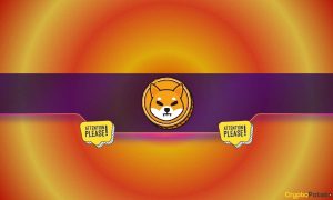 Read more about the article Watch Out: Shiba Inu (SHIB) Team Issues a Crucial Warning to the Community