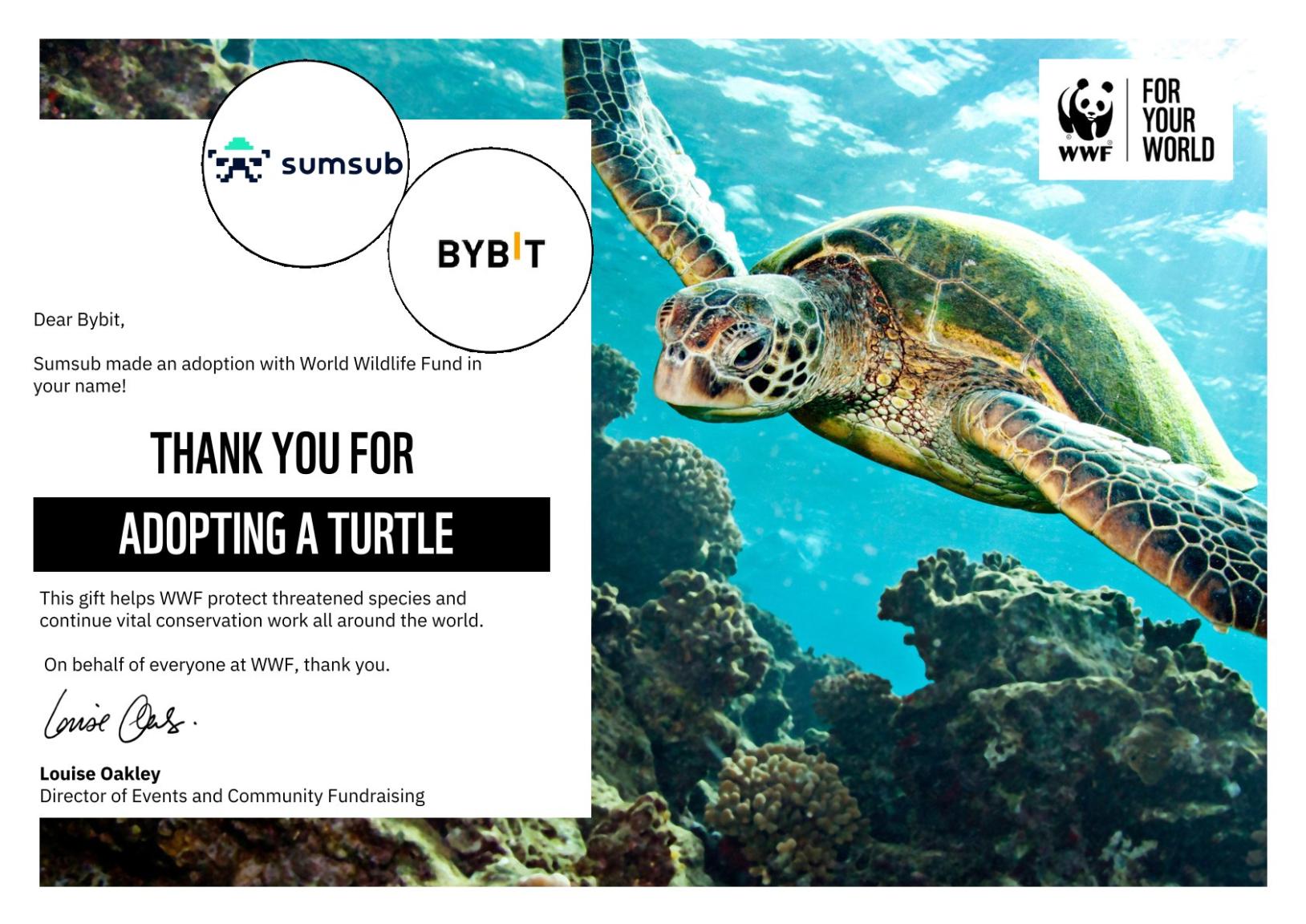 You are currently viewing Bybit Supports Wildlife Conservation Through Sea Turtle Adoption Initiative with Subsum